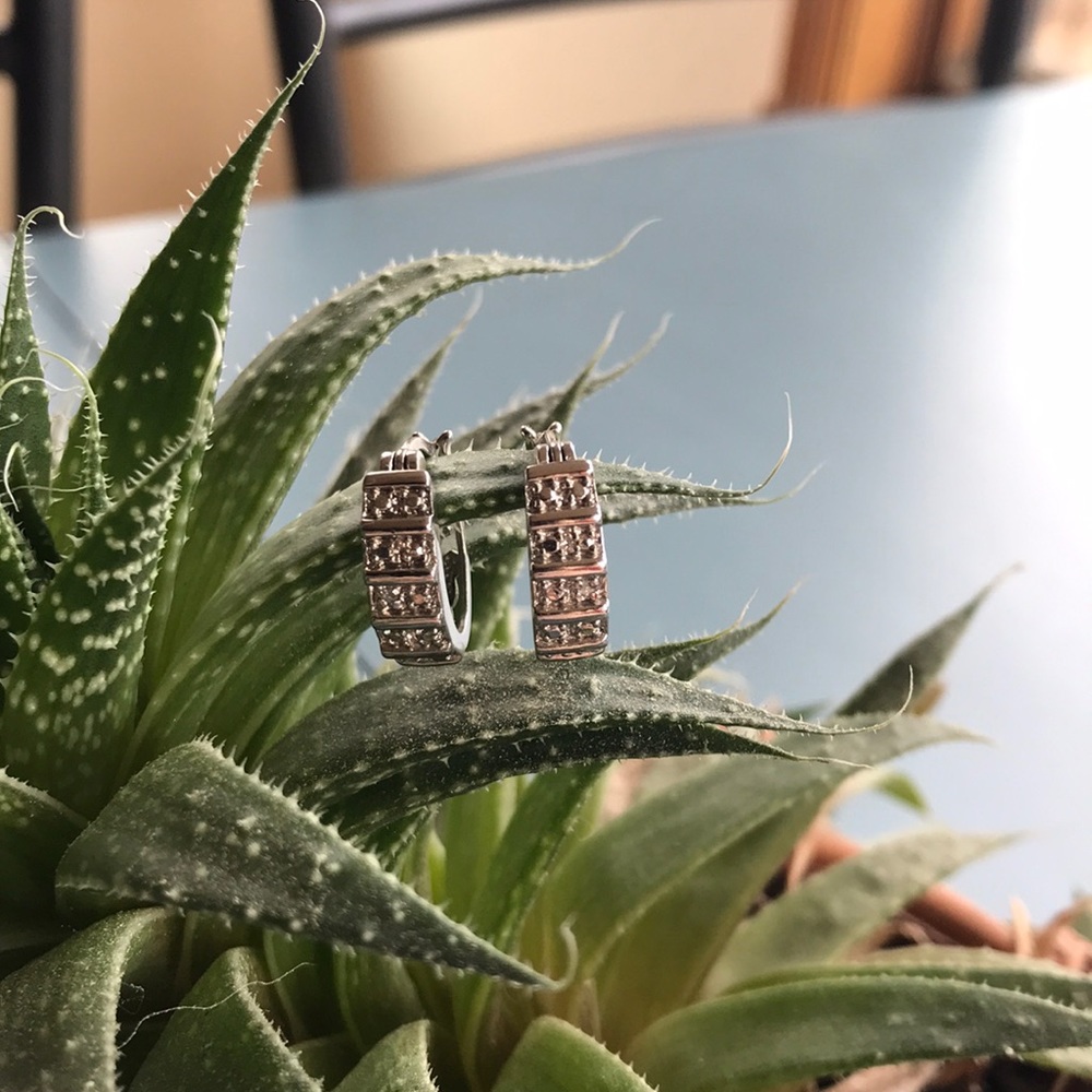 Sterling Silver earrings